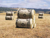 stockholding