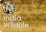 India Wildlife Tours Feel Adventure in India