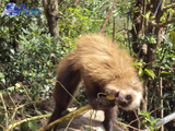 inca trail peru grand travel