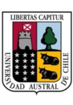 Southern University of Chile