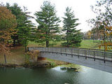 southern illinois university in edwardsville