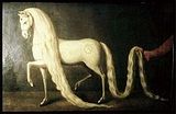 Oldenburg horse
