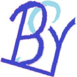 bsy