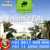 DLF Alameda Plots Gurgaon
