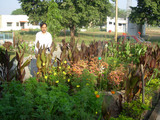My photos