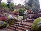 Oregon Garden