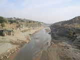 bilawal