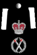 assistant police