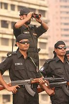 rapid action battalion