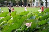 Zhongshan Park (Shanghai)
