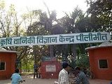 Pilibhit