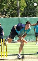 shaun tait