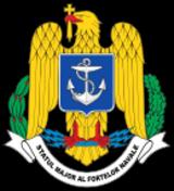 naval force