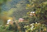 tamang