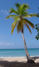 Gubbi Nadu