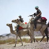 patrol