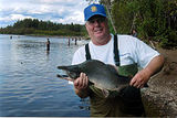 Pink salmon