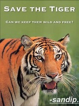 SAVETIGERS....The Journey Begins...