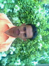 Saifi furniture