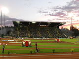 hayward field