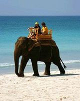 Havelock Island