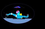 space research organisation