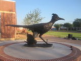 Lubbock Christian University