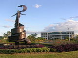 university
