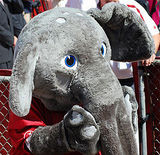 alabama crimson tide