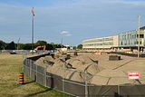 york university