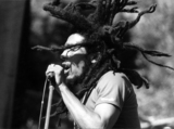 bob marley