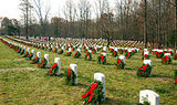 quantico