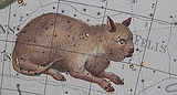 Felis (constellation)
