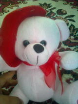 My SANSAR
