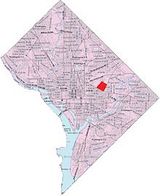 washington d c