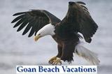 Goan Beach Vacations