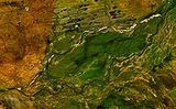 Fitzroy River (Western Australia)