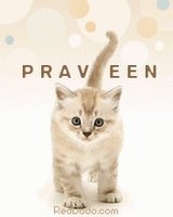 PRAVEEN
