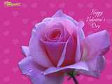 vikash