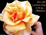 suuuuuuuuuper  frndz