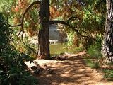 university of california davis