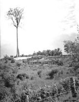 sandakan