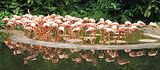 bird park