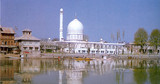 Please Support Islam
