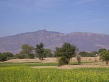 Heer Ranjha