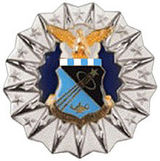 Air Force Academy Professor Badge
