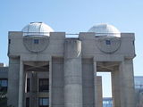 york university