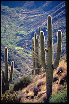 Agua Fria National Monument
