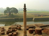 ashoka pillar