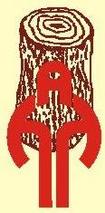 Assam Timber Traders